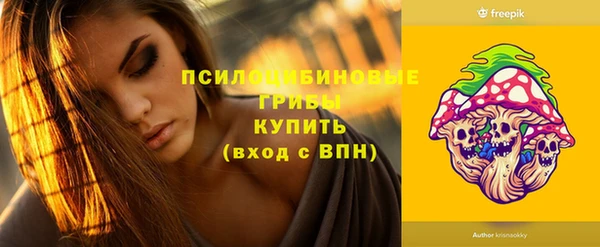 ешки Волоколамск