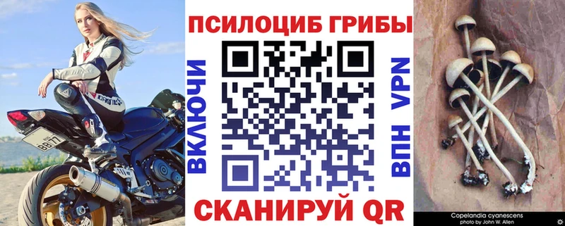 даркнет сайт  Уссурийск  Псилоцибиновые грибы мицелий 